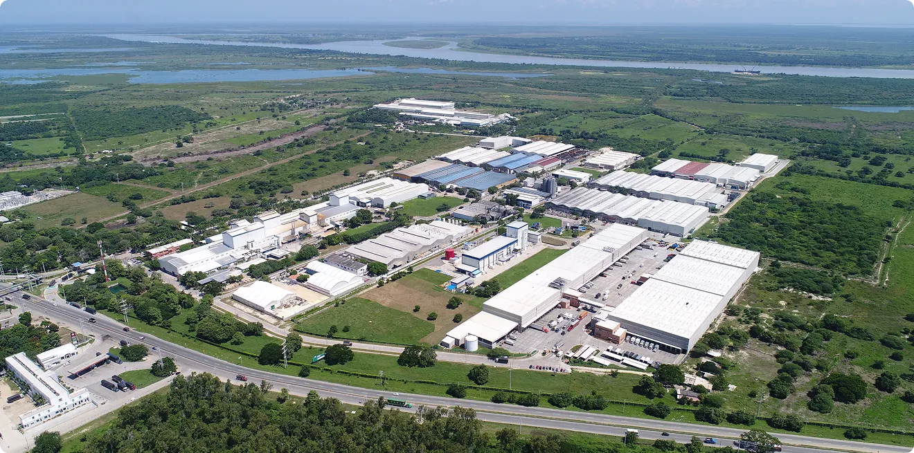 beneficios-zoma Beneficios