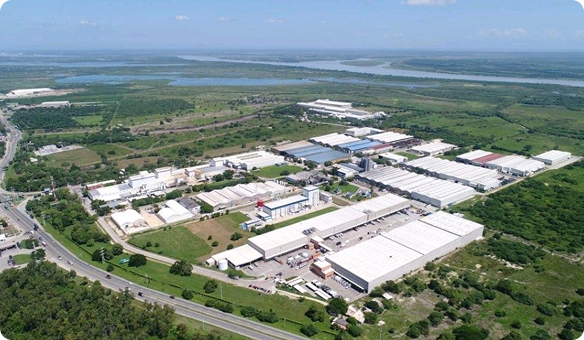 Stage: 1980 – 2000 | Los Orígenes